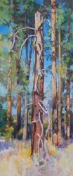 The Dead Ponderosa Pine, oil on canvas, 41 x 17 inches, copyright ©2021, $2300